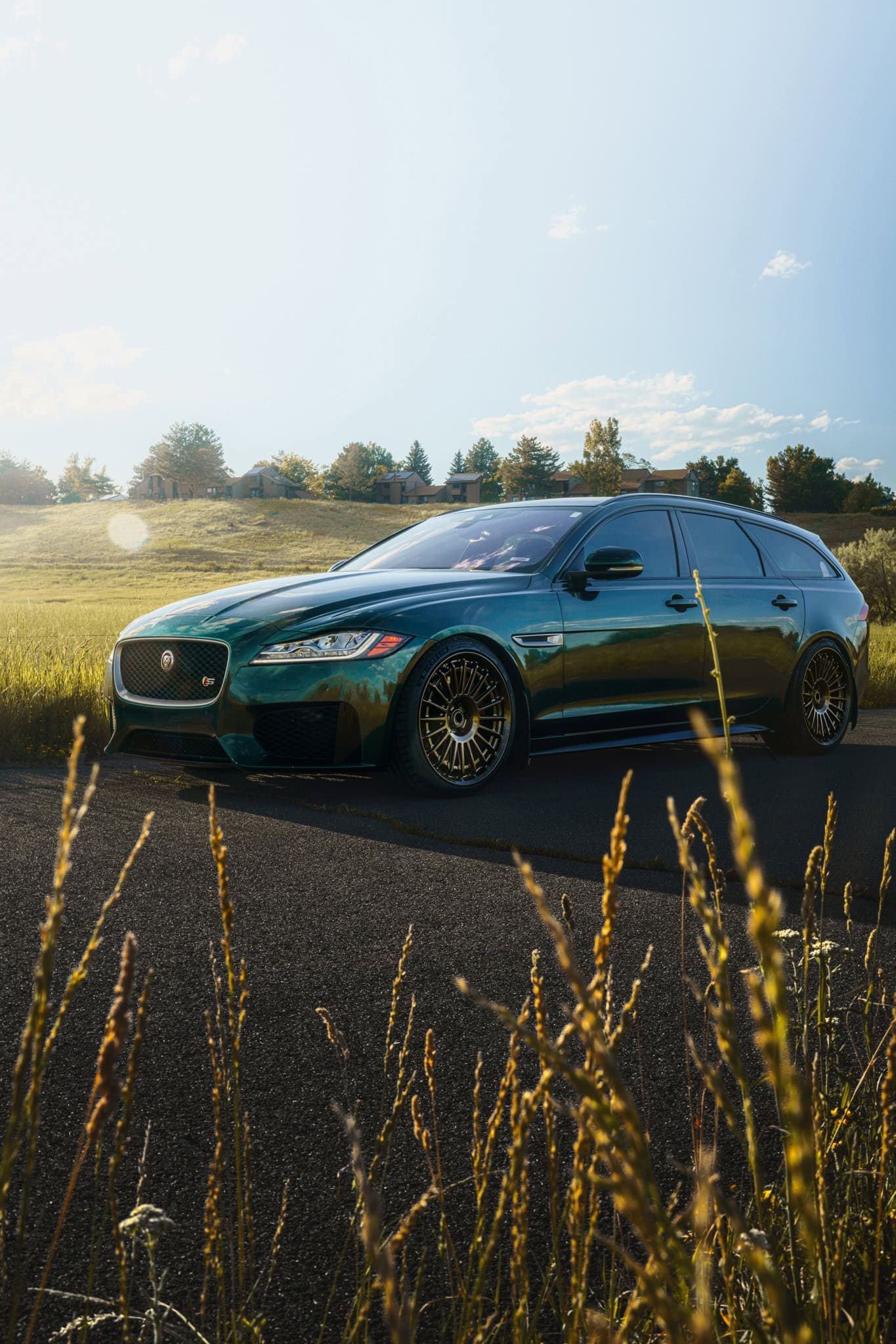 Jaguar